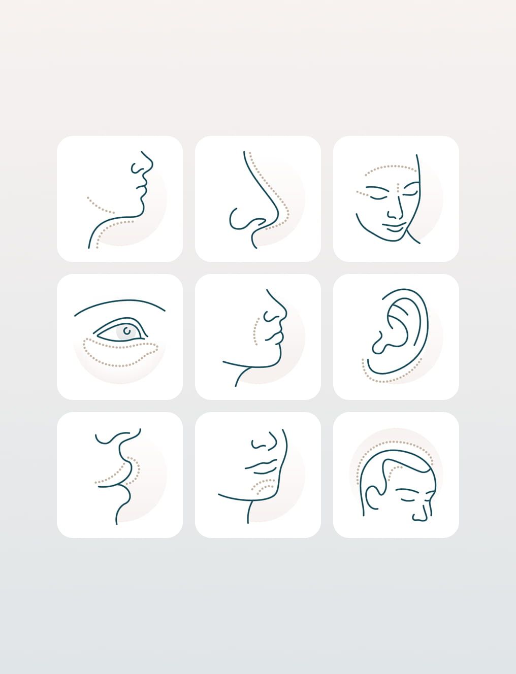 The Body Clinic: iconenset van de huisstijl